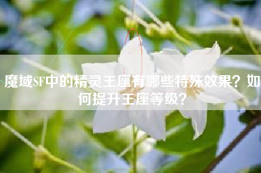 魔域SF中的精灵王座有哪些特殊效果？如何提升王座等级？