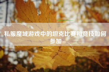 私服魔域游戏中的坦克比赛和竞技如何参加