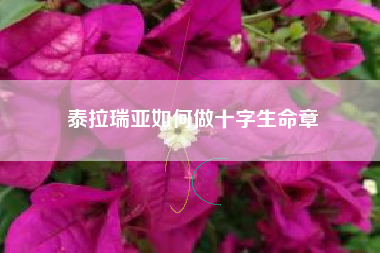 泰拉瑞亚如何做十字生命章