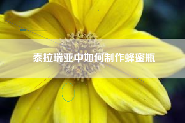 泰拉瑞亚中如何制作蜂蜜瓶