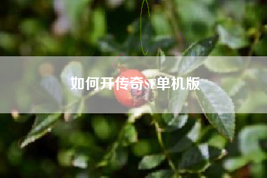 如何开传奇SF单机版