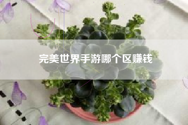 完美世界手游哪个区赚钱