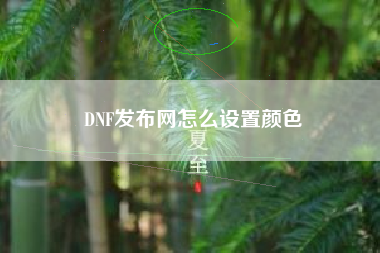 DNF发布网怎么设置颜色