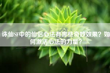 诛仙SF中的仙侣心法有哪些奇妙效果？如何激活心法的力量？