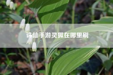 诛仙手游灵狐在哪里刷