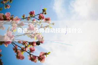 奇迹mu法师自动技能挂什么