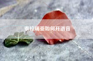 泰拉瑞亚如何开语音