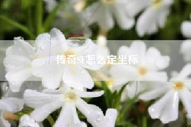 传奇SF怎么定坐标