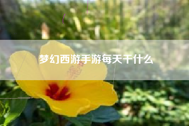 梦幻西游手游每天干什么