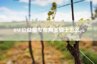 DNF公益服发布网圣骑士怎么pk