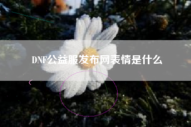 DNF公益服发布网表情是什么