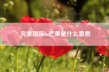 完美国际6s芒果是什么意思