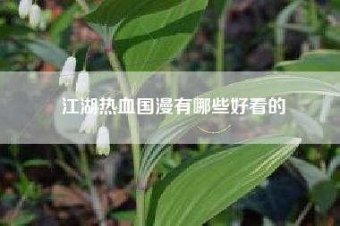 江湖热血国漫有哪些好看的