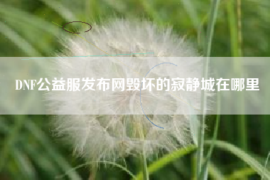 DNF公益服发布网毁坏的寂静城在哪里