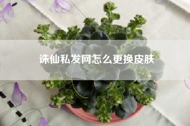 诛仙私发网怎么更换皮肤