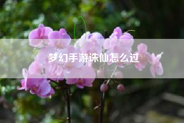 梦幻手游诛仙怎么过