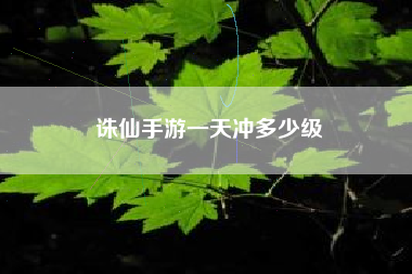 诛仙手游一天冲多少级