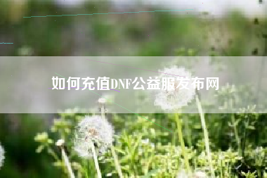 如何充值DNF公益服发布网