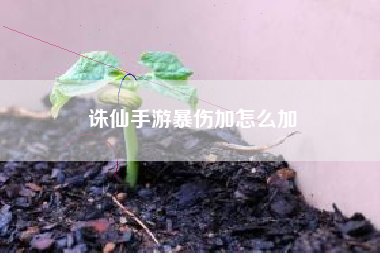 诛仙手游暴伤加怎么加