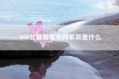 DNF公益服发布网紫装是什么