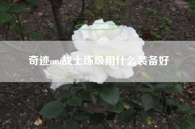 奇迹mu战士练级用什么装备好