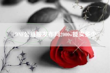 DNF公益服发布网2000w能卖多少