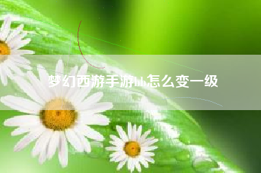 梦幻西游手游bb怎么变一级