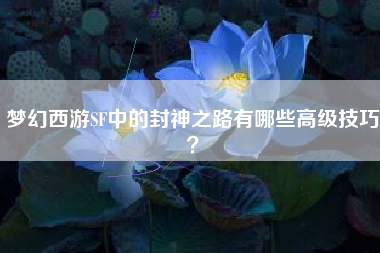 梦幻西游SF中的封神之路有哪些高级技巧？