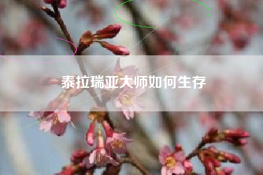 泰拉瑞亚大师如何生存