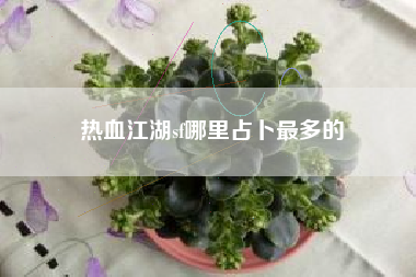 热血江湖sf哪里占卜最多的