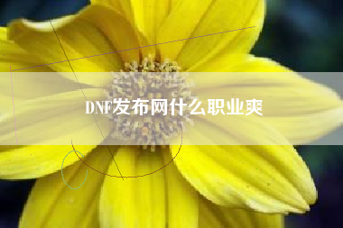 DNF发布网什么职业爽