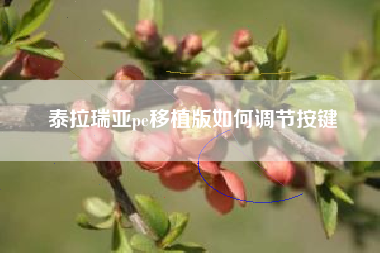 泰拉瑞亚pe移植版如何调节按键