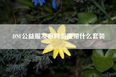 DNF公益服发布网剑魔带什么套装