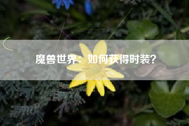 魔兽世界：如何获得时装？