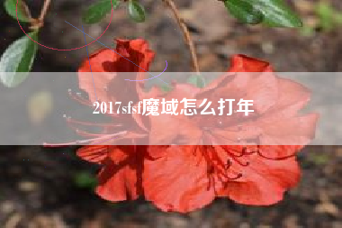 2017sfsf魔域怎么打年