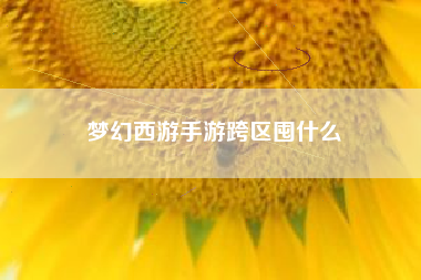 梦幻西游手游跨区囤什么