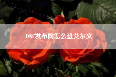 DNF发布网怎么进艾尔文