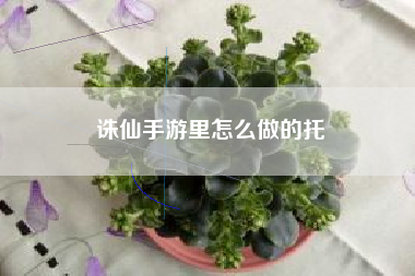 诛仙手游里怎么做的托