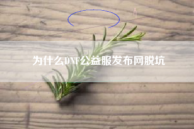 为什么DNF公益服发布网脱坑