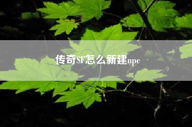 传奇SF怎么新建npc