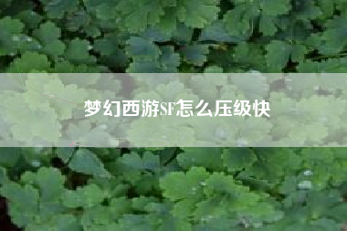 梦幻西游SF怎么压级快