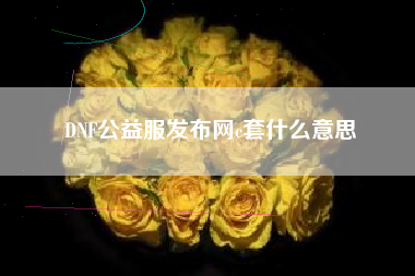 DNF公益服发布网c套什么意思