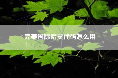 完美国际暗灵代码怎么用