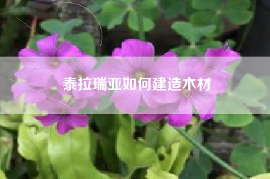 泰拉瑞亚如何建造木材