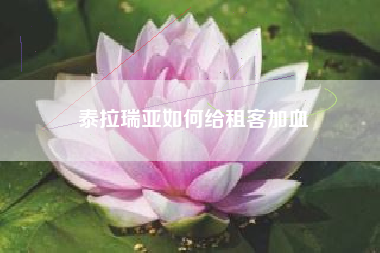 泰拉瑞亚如何给租客加血