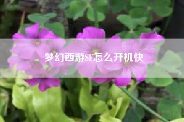 梦幻西游SF怎么开机快