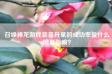 召唤神龙游戏装备升星的成功率受什么因素影响？