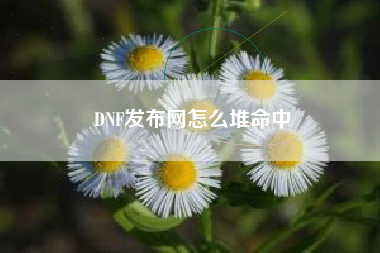 DNF发布网怎么堆命中