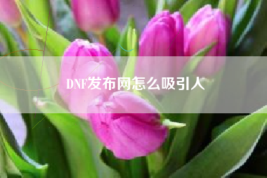 DNF发布网怎么吸引人