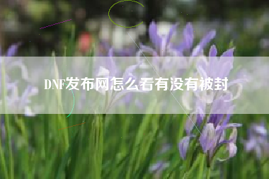 DNF发布网怎么看有没有被封